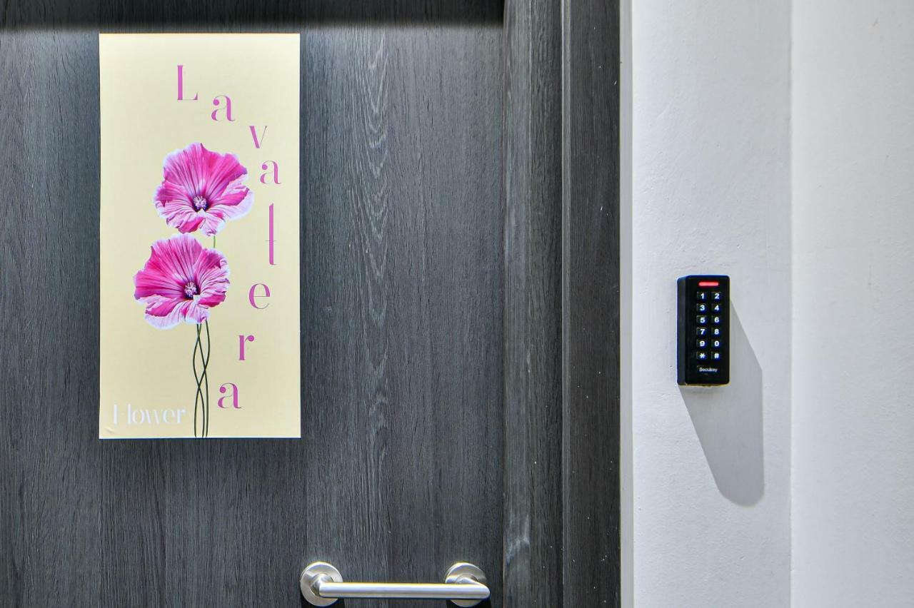 Flowers Of Athens, Boutique Aparthotel With 6-Apartments In Central Athene Buitenkant foto