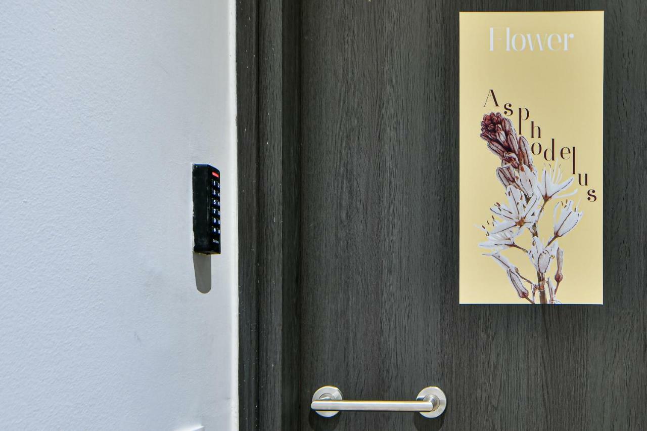 Flowers Of Athens, Boutique Aparthotel With 6-Apartments In Central Athene Buitenkant foto