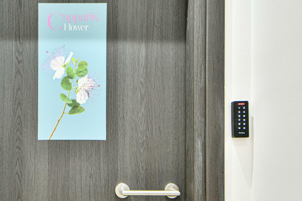Flowers Of Athens, Boutique Aparthotel With 6-Apartments In Central Athene Buitenkant foto